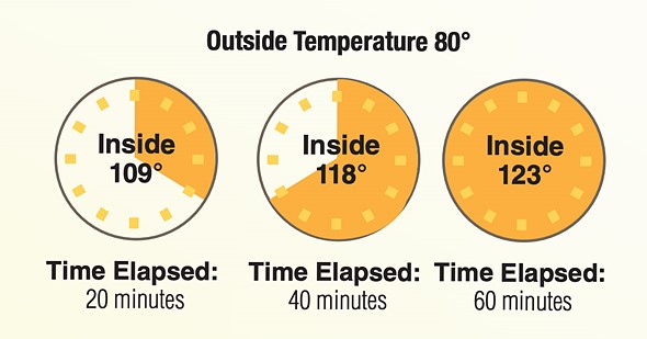 a graphic with three clocks and orange shading to show temperature changes over time