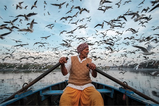 a man sits on a row boat with birds flying all around him