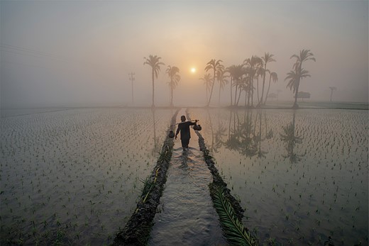 a person carrying jugs balanced across their shoulders walks through a flooded field