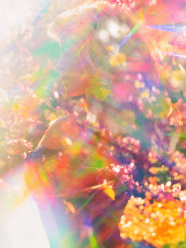 A vibrant rainbow-hued portrait of a woman surrounded by floral elements, created using multiple exposures to enhance the ethereal atmosphere.