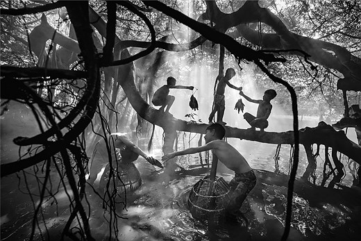 kids sit on and in tree branches while handing each other fish