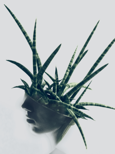 A surreal double exposure of a person’s side profile blended with spiky green plant leaves, illustrating visual rhythm through repeated organic forms. 