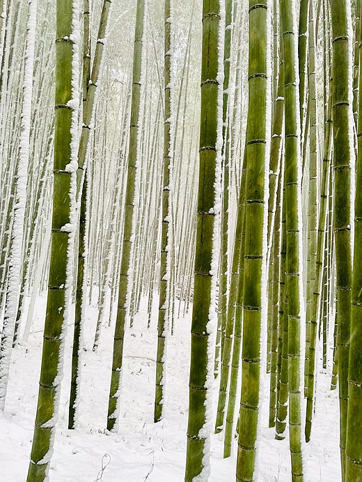 © IPPAWARDS - Mark Sarmiento - Australia