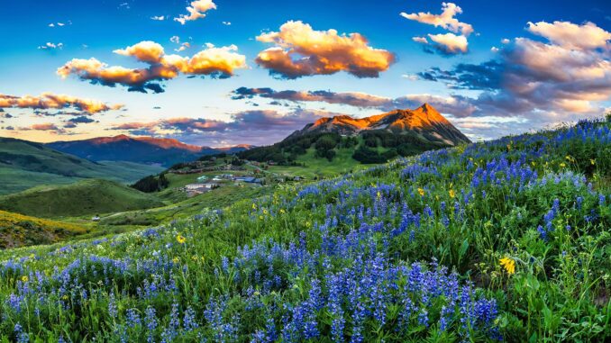 Luminar-Neo-PetaPixel-BG-2