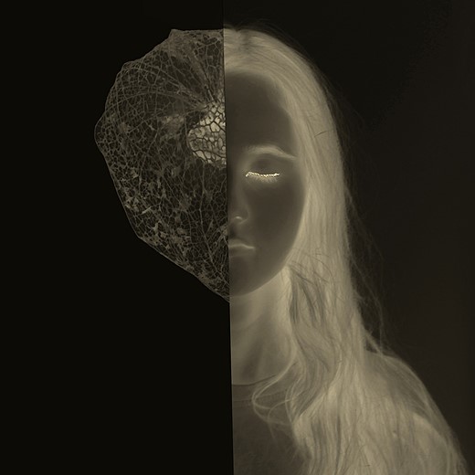 a leaf is placed next to half of a portrait both inverted