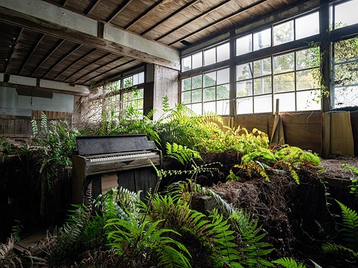 a piano sits in a large room completely overgrown with plants