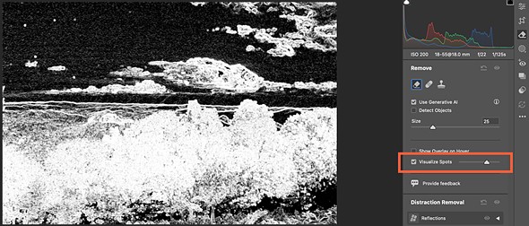 a screenshot of an inverted black and white image in adobe camera raw