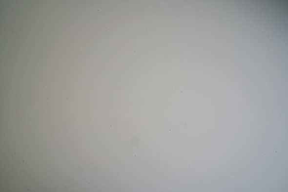 a white surface with black spots all over