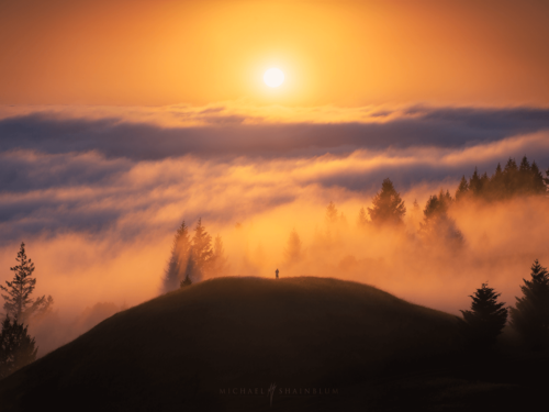 A small figure stands on a grassy hilltop surrounded by misty forest and a glowing sun, highlighting the mood and depth in scenic compositions.