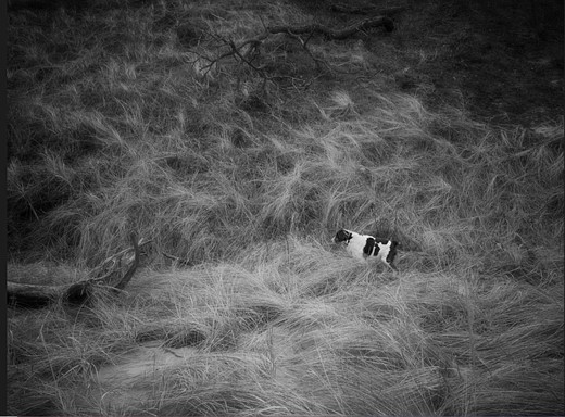 world photography day challenge 02