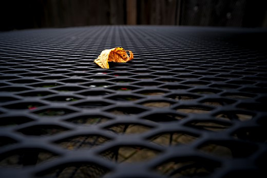 world photography day challenge 03