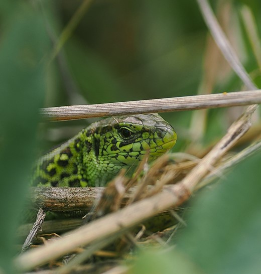 world photography day challenge 08