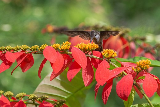 world photography day challenge 10