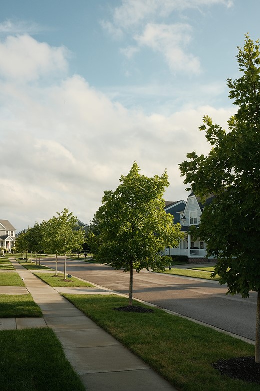 world photography day challenge 12