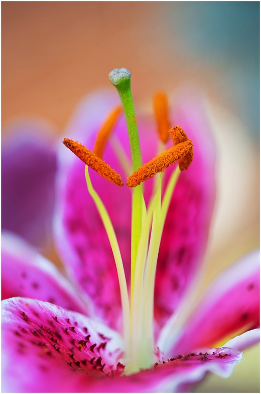 world photography day challenge 14