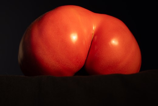 world photography day challenge 16