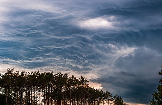 world photography day challenge 17