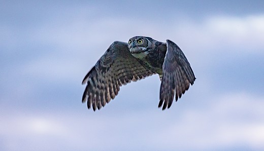 world photography day challenge 18