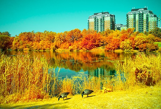 world photography day challenge 20