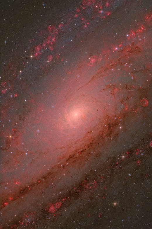 The Andromeda Core © Weitang Liang  Qi Yang  Chuhong Yu