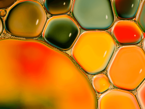 abstract-macro-colorful-oil-bubbles-500x375-1