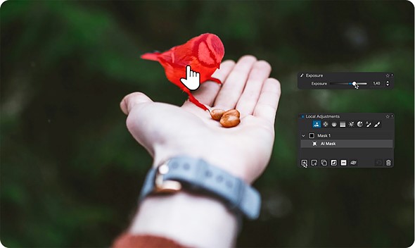 an_outstretched_hand_holds_some_nuts_with_a_bird_perched_on_top