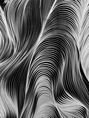 Creative macro shots of abstract black and white lines with flowing curves and layered textures.