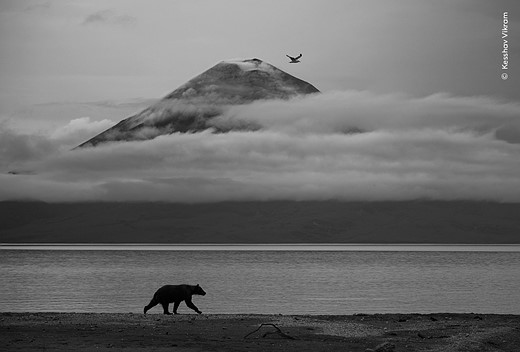 the remote wilderness of the Kamchatka Peninsula in Russia’s Far East