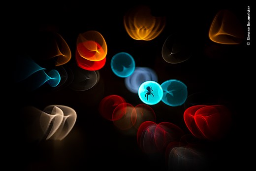 © Simone Baumeister  courtesy Wildlife Photographer of the Year