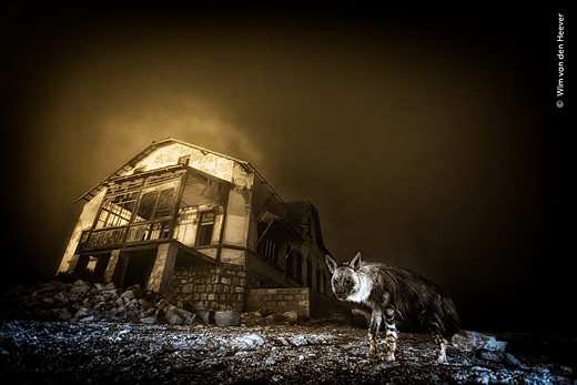© Wim van den Heever  courtesy Wildlife Photographer of the Year