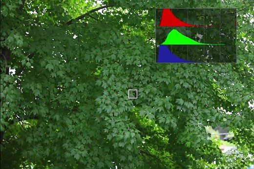 RGB Histogram cropped