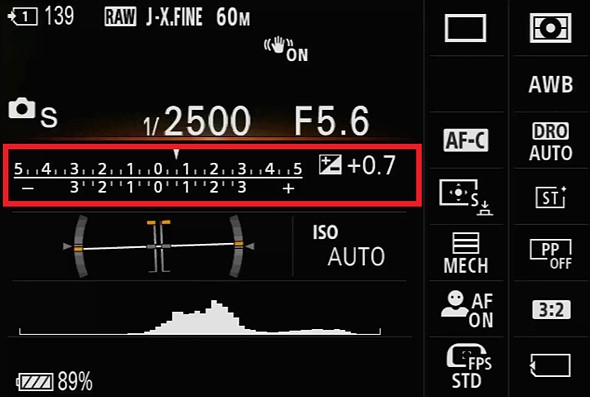 Sony light meter graphic with red rectangle