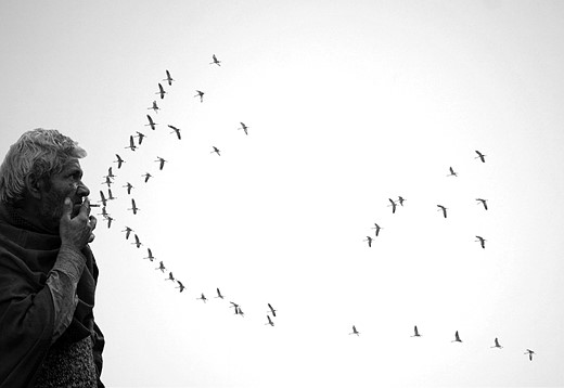 a man smokes while brids fly in the sky looking like smoke from his cigarette