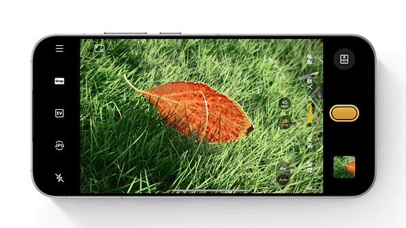 a phone is mocked up against a white background with a photo of an orange leaf on green grass on the display