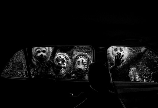 people wearing animal masks press against the window of a car