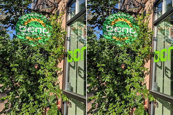 side-by-side-crops-of-photos-from-the-pixel-9-and-pixel-10-ultrawide-cameras-showing-folliage