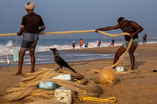 two men pull in their yellow fishing nests on a beach with a bird standing on the pile of nets
