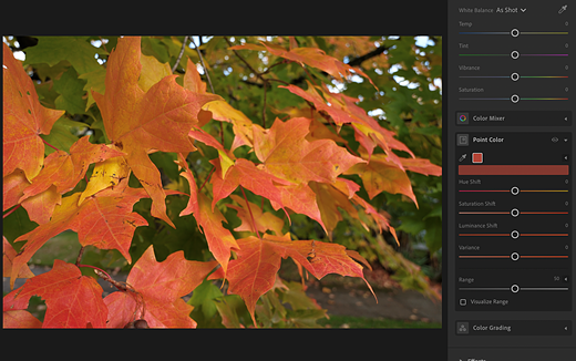 Color variance original