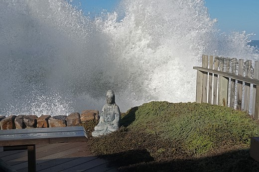 alan-grinberg-ocean-spray-close