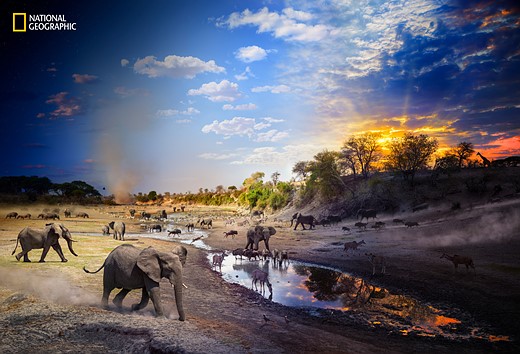 animals gather around a watering hole with a vibrant sky overhead