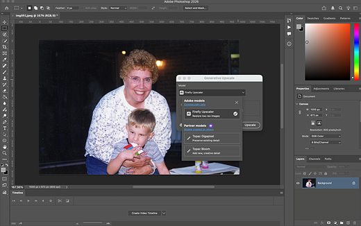 partner upscale models