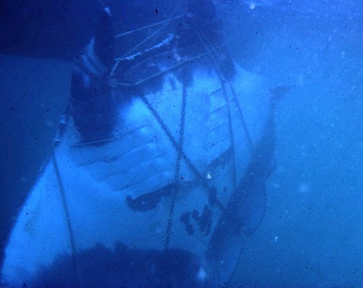 pwmoree-ocean-underwater-manta-ray-tangled