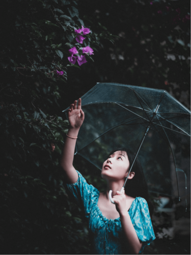 A young woman in a blue dress holds a transparent umbrella while reaching toward pink flowers on a rainy day.