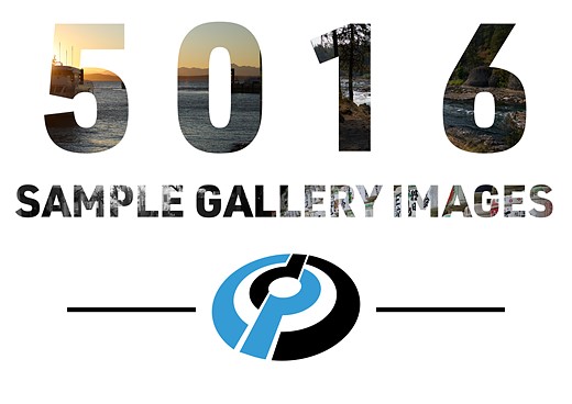 2025-By-The-Numbers-Sample-Galleries