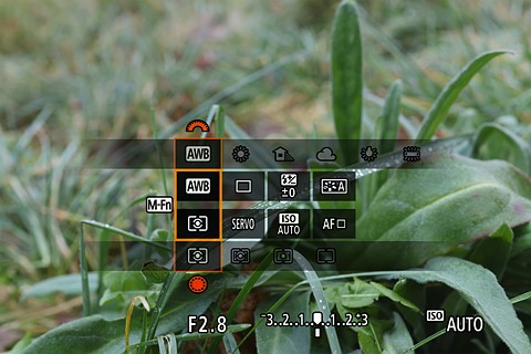 canon mfn menu