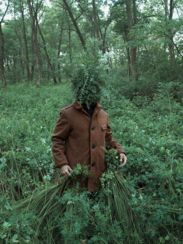 A person standing in a dense green forest with their face obscured by foliage, symbolizing transformation, identity, and introspection captured in a year-in-review photography image.