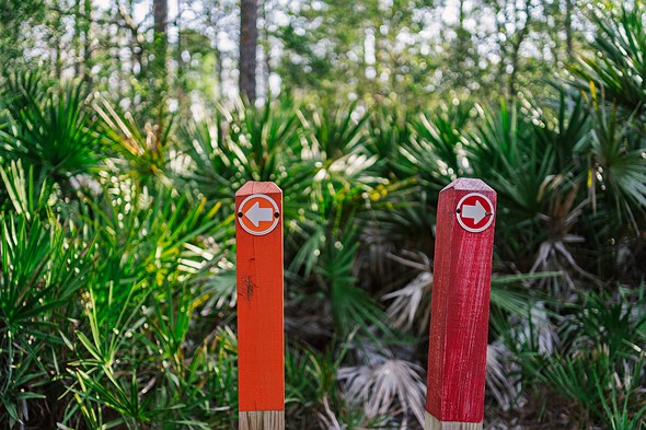 an orange and red post have arrows-in opposing directions with a blurred forest behind