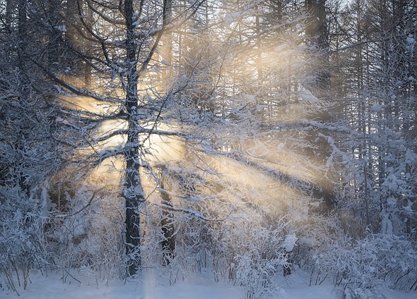 j Jargant River 25-1-2025 26