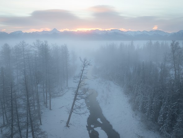 j Singing Spring 26-1-2025 20