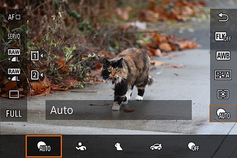 canon subject select screen